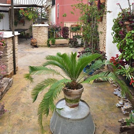 Casa Tenorio Barrio De Santa Cruz Севиля Екстериор снимка