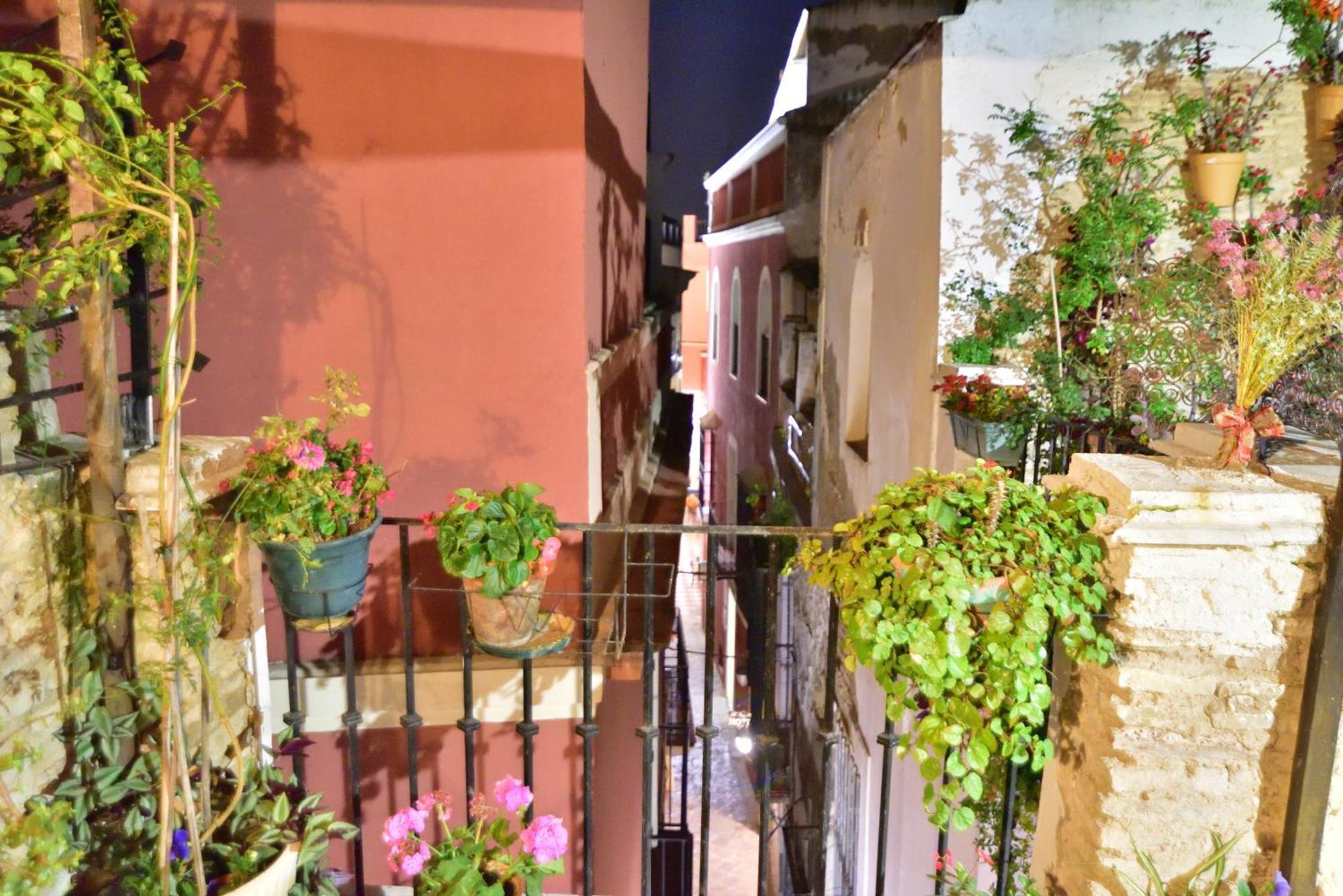 Casa Tenorio Barrio De Santa Cruz Севиля Екстериор снимка