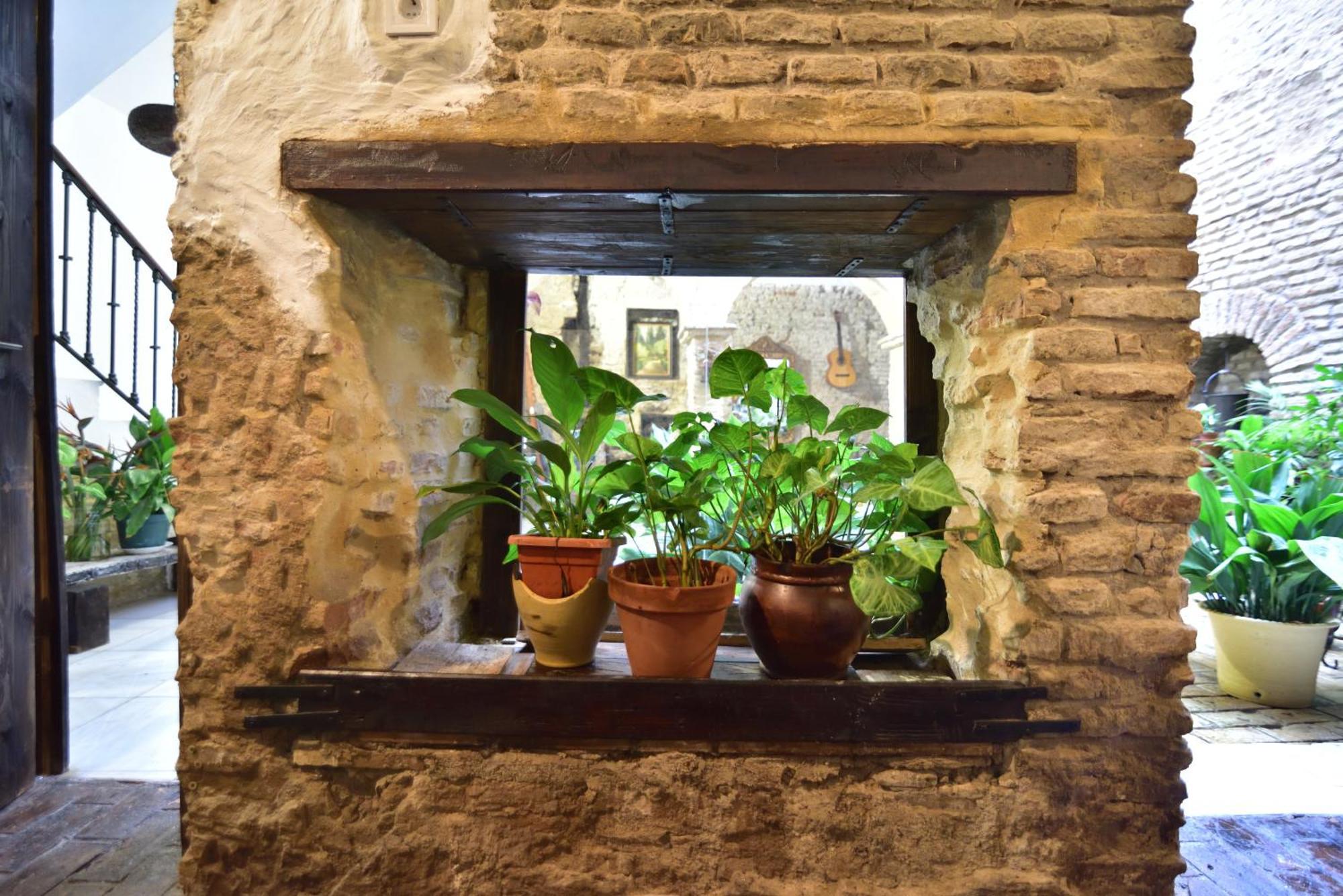 Casa Tenorio Barrio De Santa Cruz Севиля Екстериор снимка